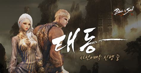 plaync 블레이드 & 소울 .